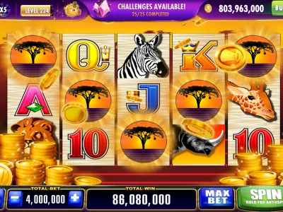 Sports Betting Markets Dashboard